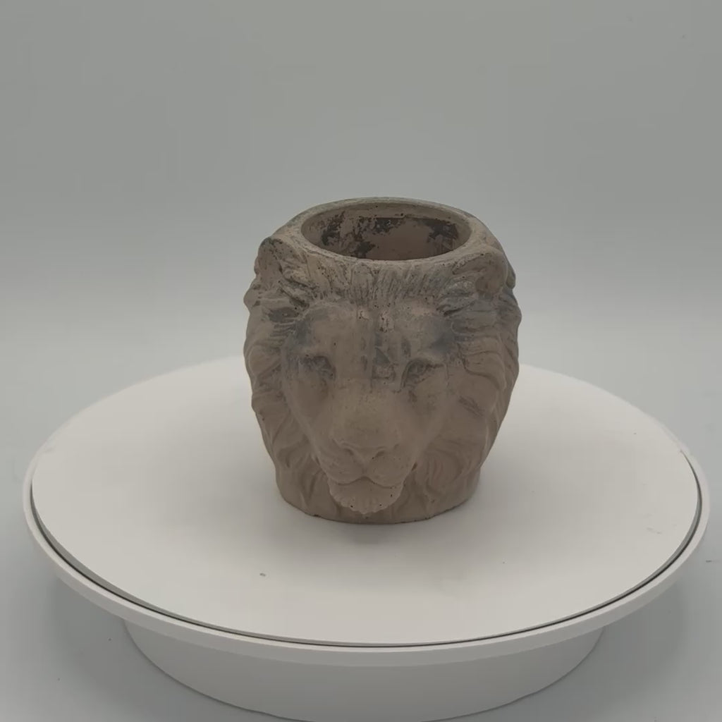 Lion Planter