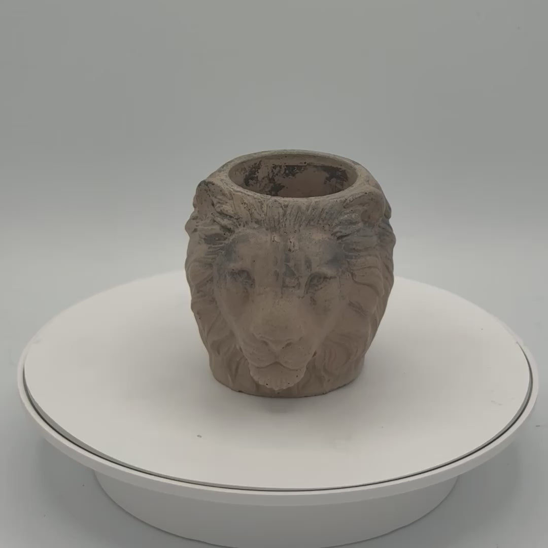 Lion Planter