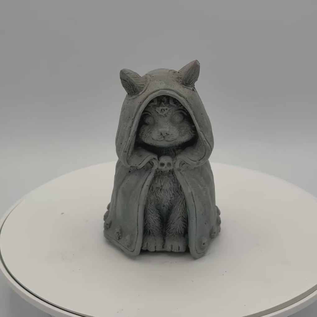 Hooded Cat