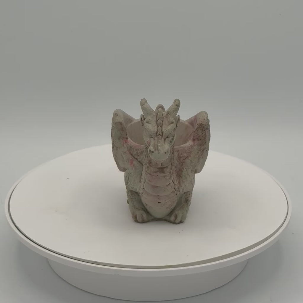 Dragon Planter